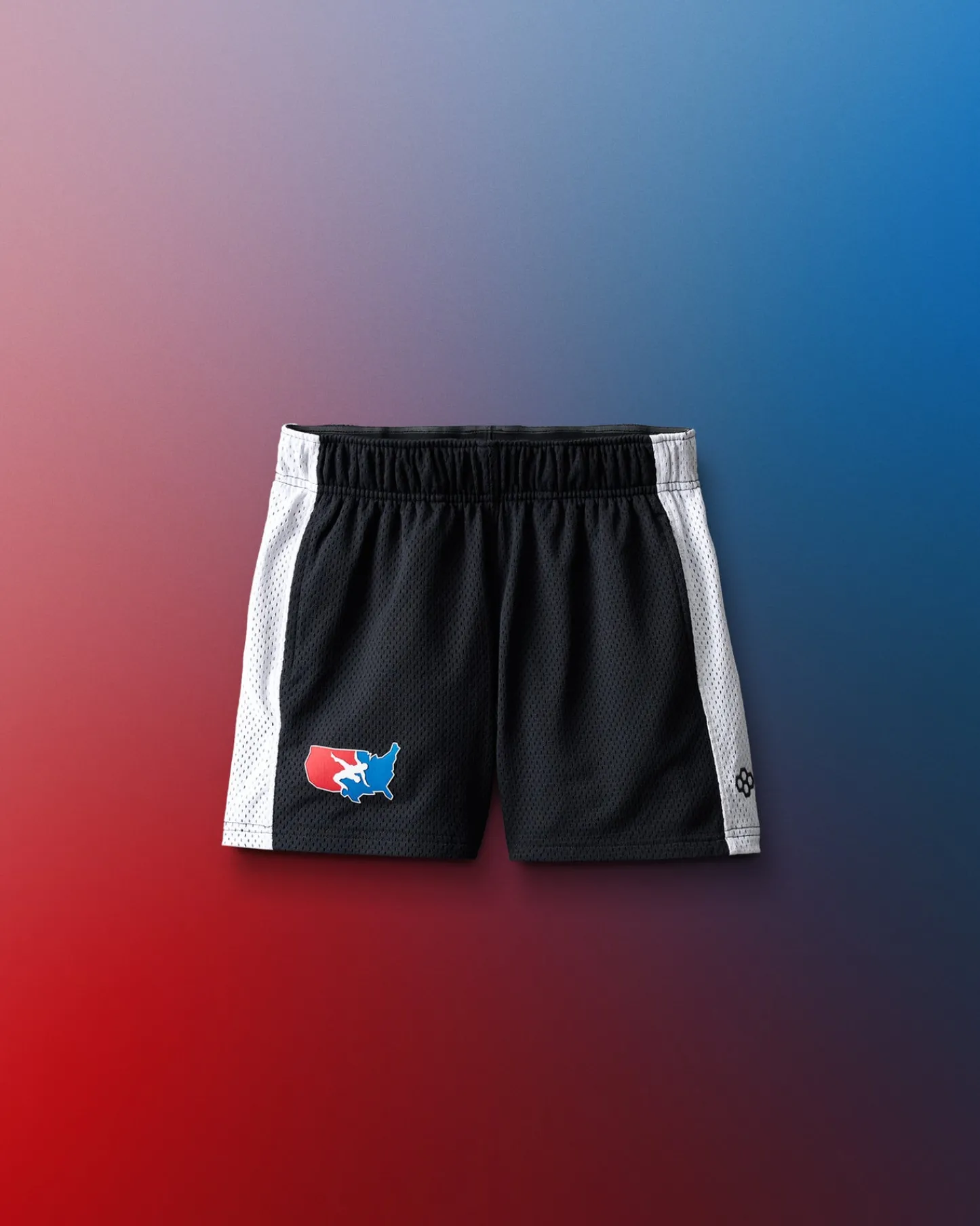 Shorts & Bottoms>RUDIS USA Wrestling 5" Premium Panel Youth Mesh Shorts