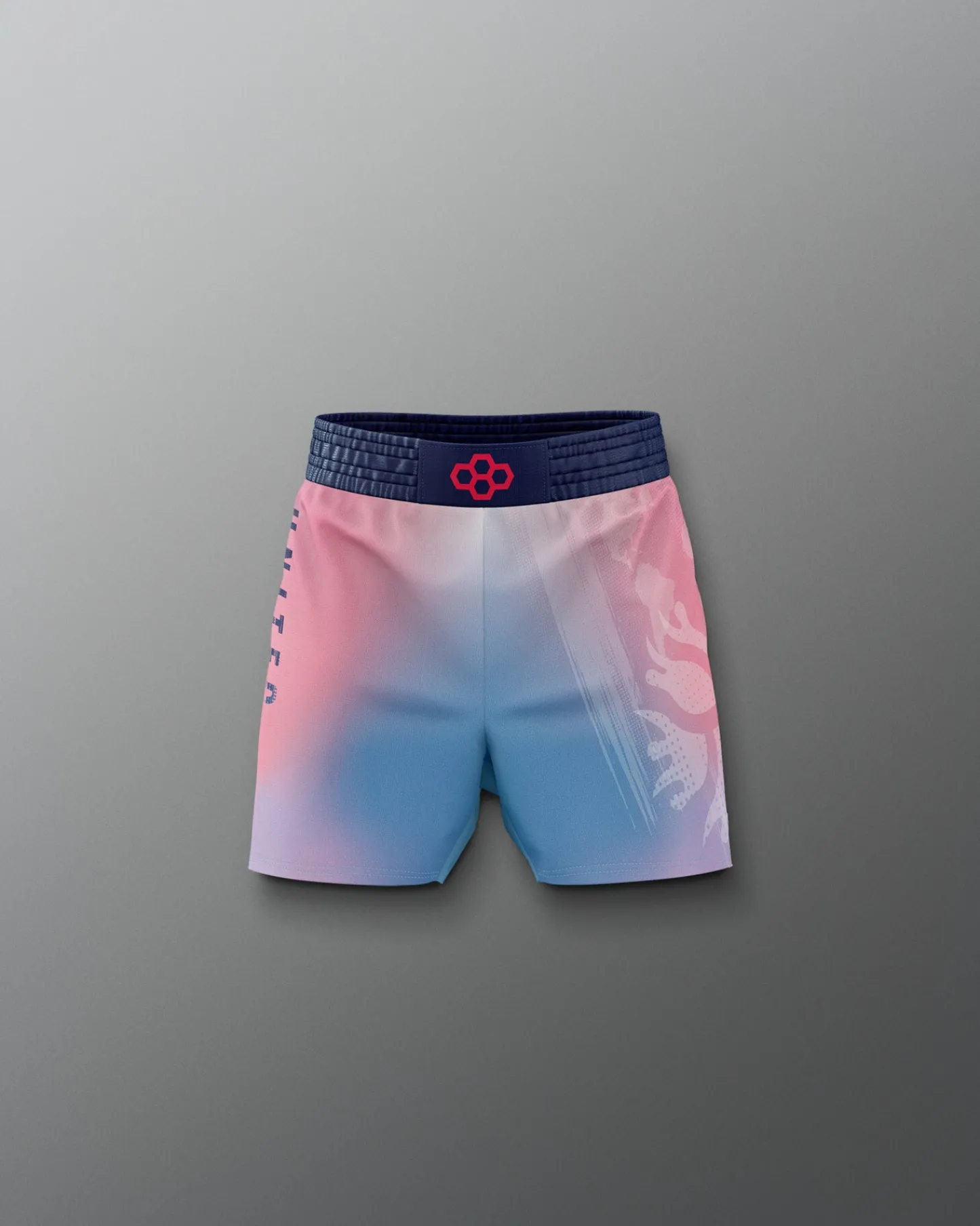 Shorts & Bottoms>RUDIS UWW Gradient Boy's Elite Shorts