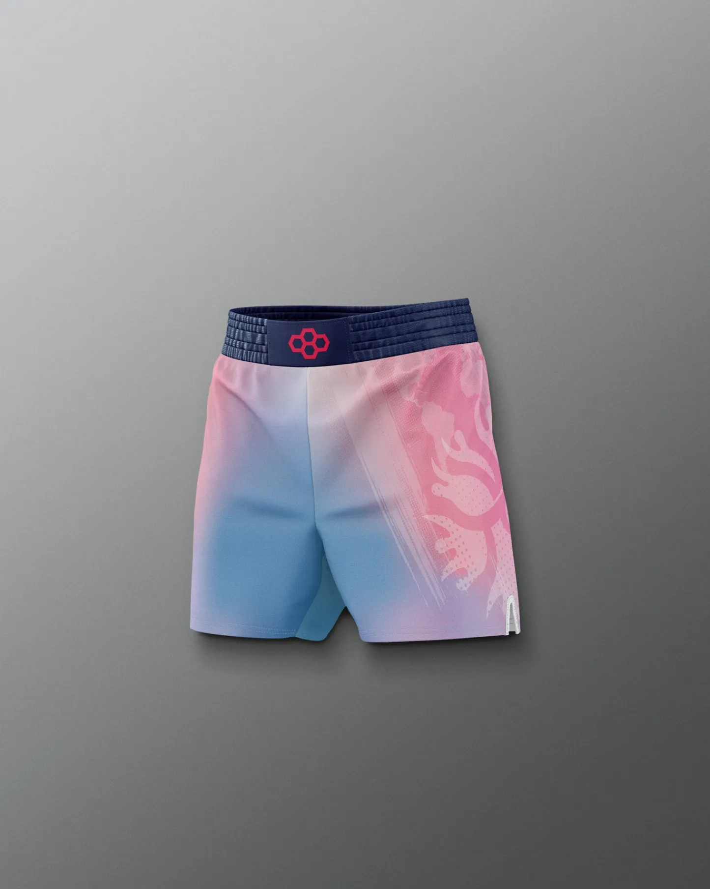 Shorts & Bottoms>RUDIS UWW Gradient Boy's Elite Shorts