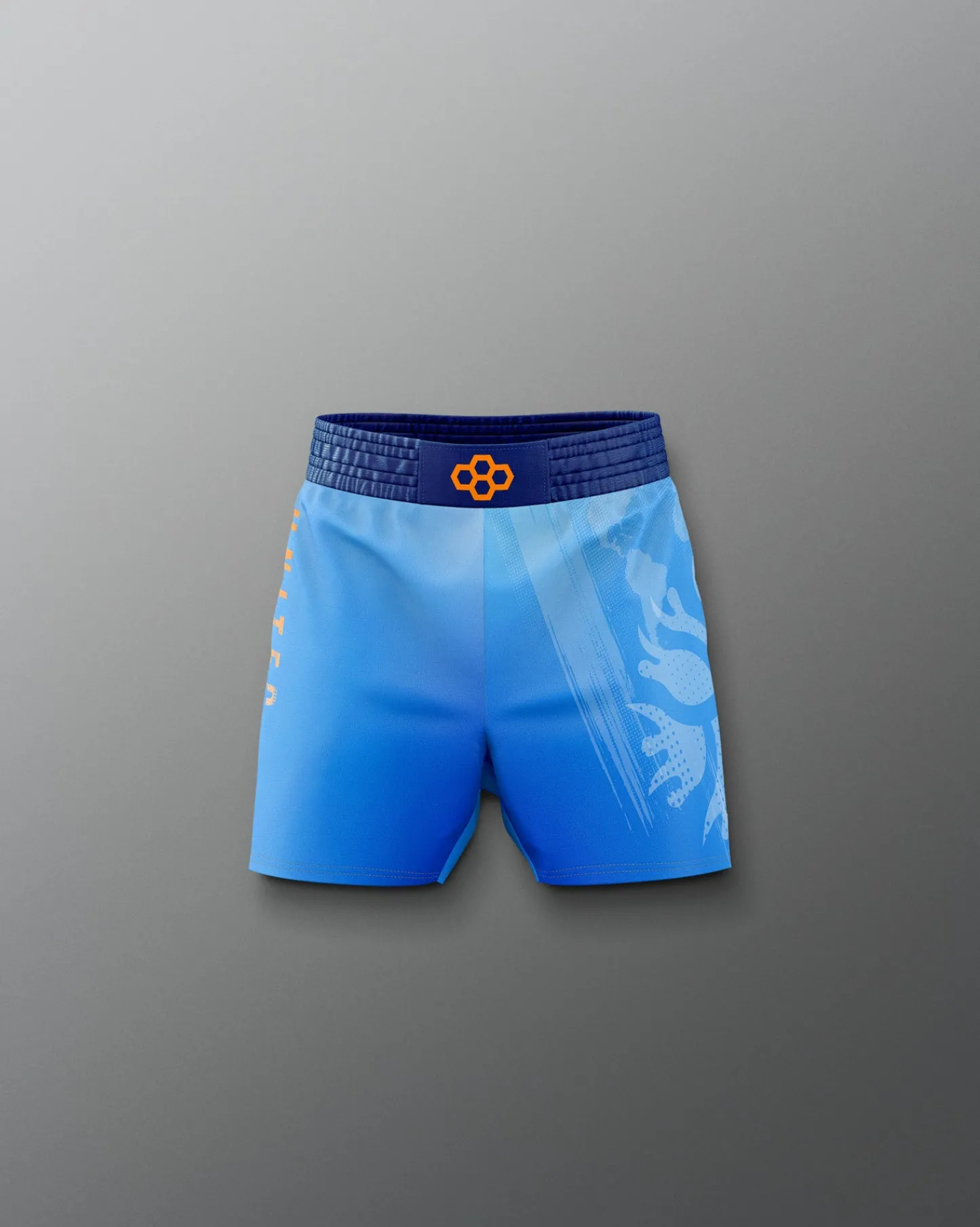 Shorts & Bottoms>RUDIS UWW Gradient Boy's Elite Shorts