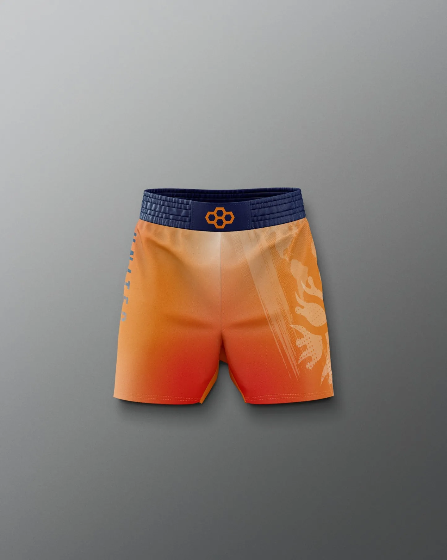 Shorts & Bottoms>RUDIS UWW Gradient Boy's Elite Shorts