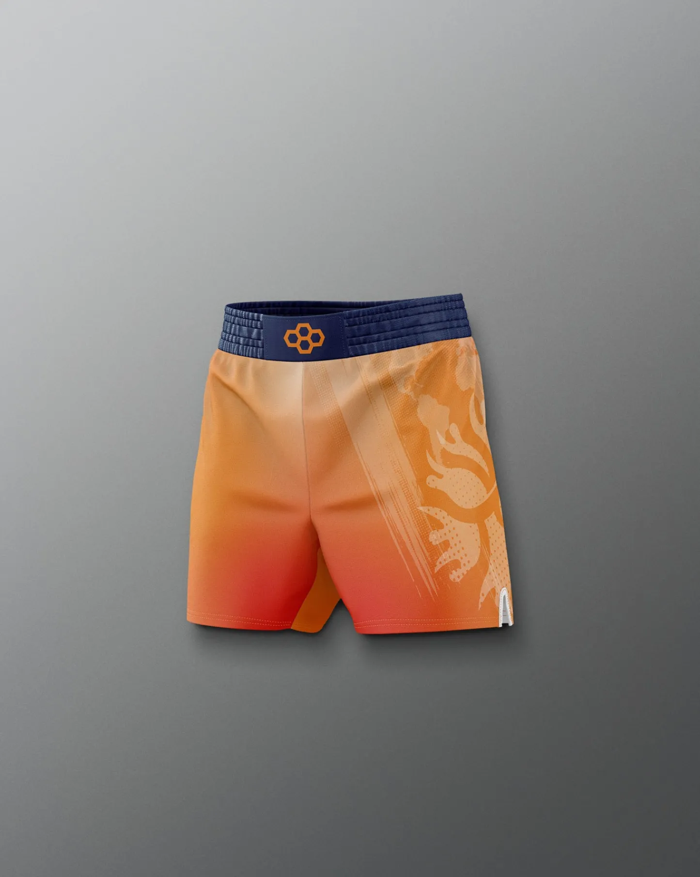 Shorts & Bottoms>RUDIS UWW Gradient Boy's Elite Shorts