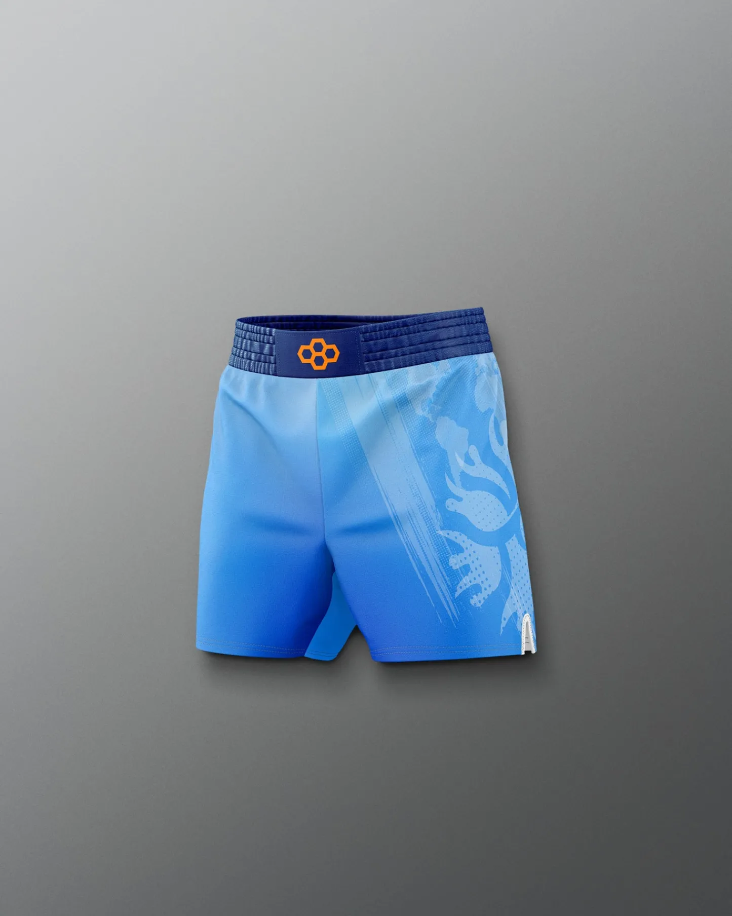 Shorts & Bottoms>RUDIS UWW Gradient Boy's Elite Shorts
